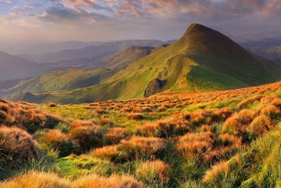 Household Hazardous Waste Collection